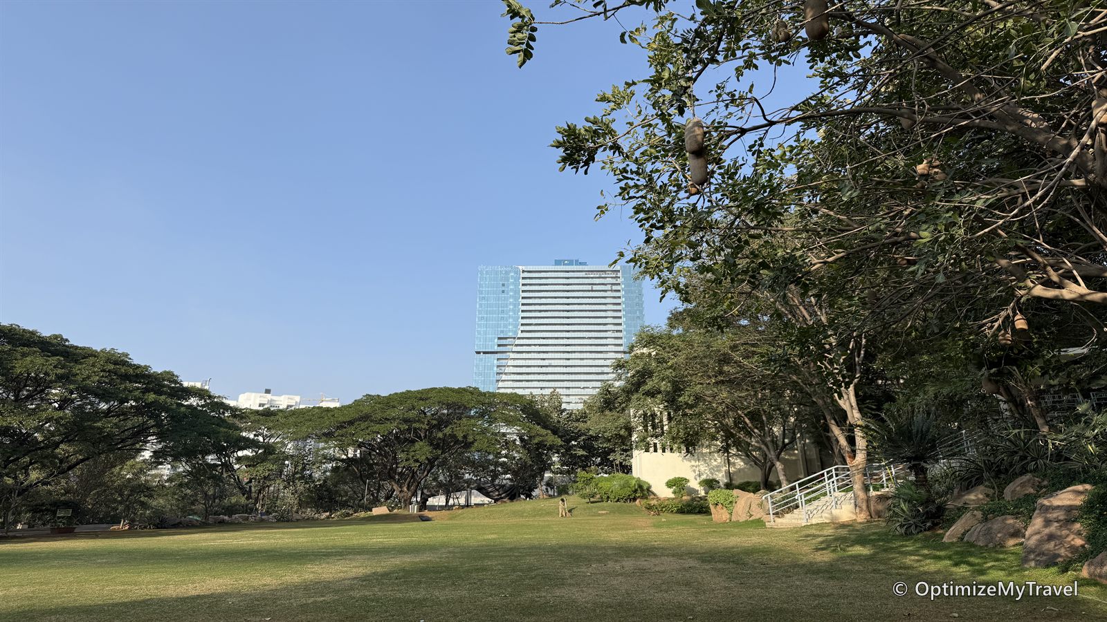 Broad green lawn surrounded by trees with a modern office tower rising behind it